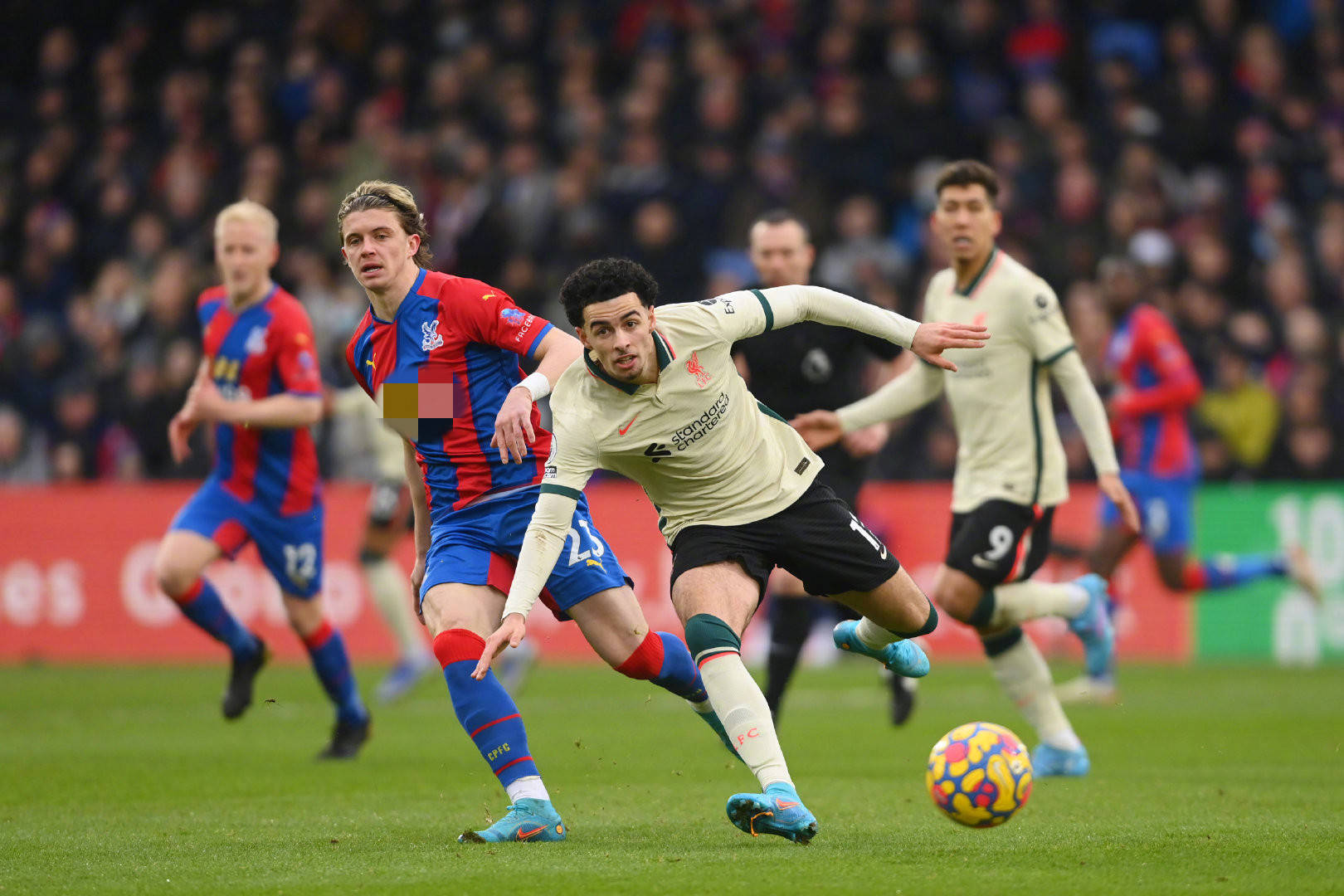 图斯迎来新 图斯迎来新